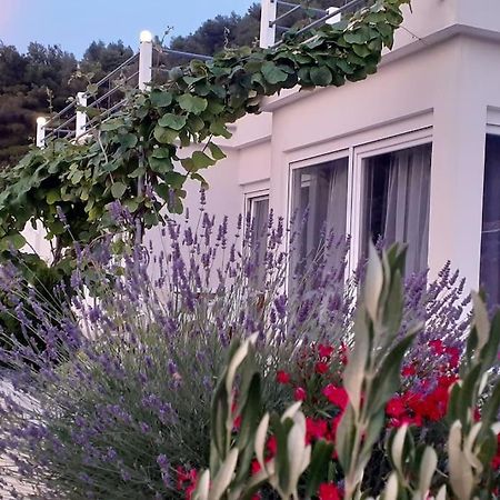 Vis - Luxury Holiday Villa With Swimming Pool Exterior foto